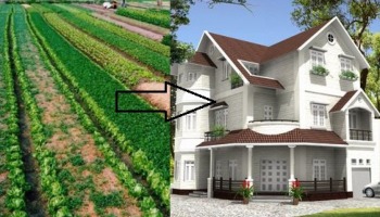 Đề xuất mới về chuyển đổi đất vườn sang đất ở: Gỡ gánh nặng cho người dân?